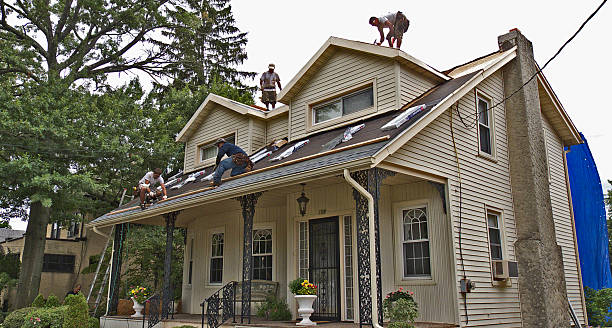 Roof Gutter Cleaning in Fruit Heights, UT